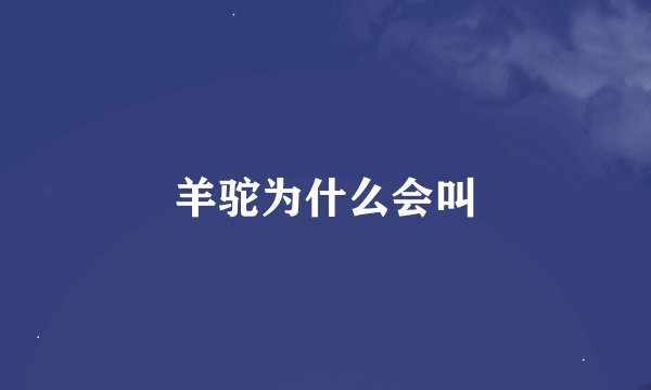 羊驼为什么会叫
