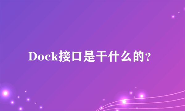 Dock接口是干什么的？