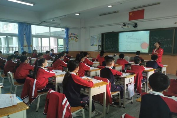 《小岛》这篇课文的背景是什么呢？