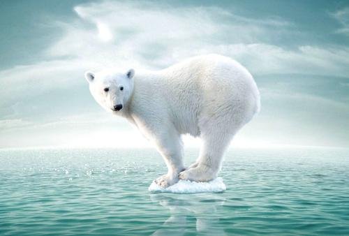 2020年为1951年以来第8个最暖年，气候变暖会带来什么影响？