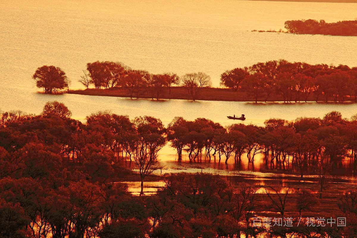 怎么拒绝别人来自己家玩？