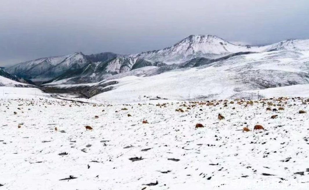 全国极端高温！但有三地却“七月飘雪”，这正常吗？