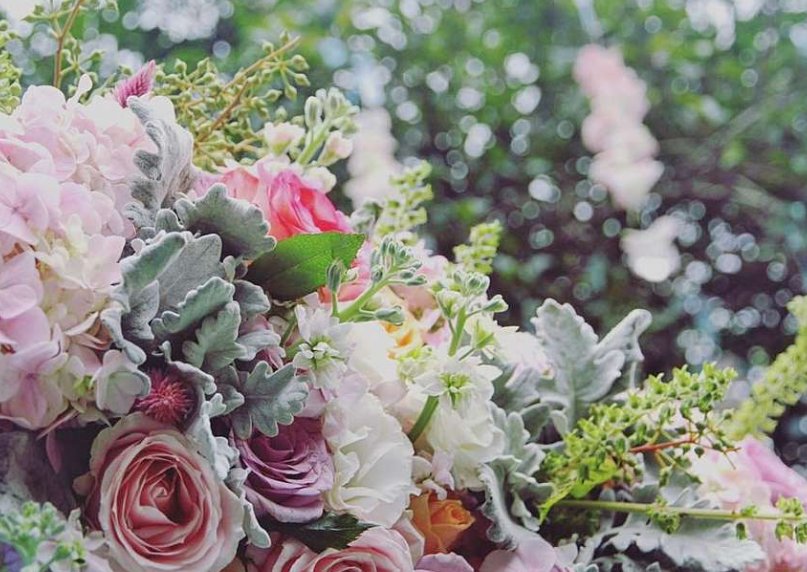 簪缨之威,爵禄之隆,闺房之乐翻译