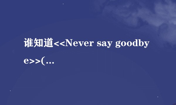谁知道<<Never say goodbye>>(Babyvox Re.V唱的)里RAP的歌词?