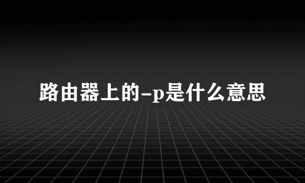 路由器上的-p是什么意思