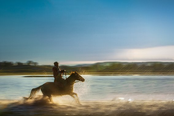骋的意思和含义
