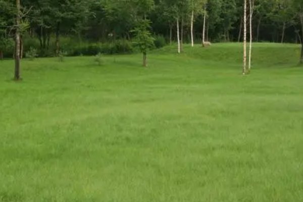 坪的拼音怎么写