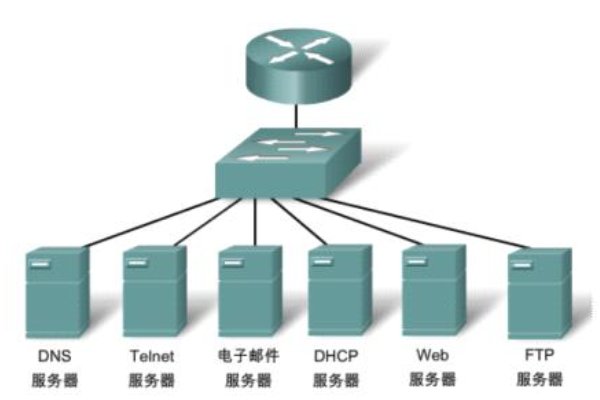 tpl是什么意思?？