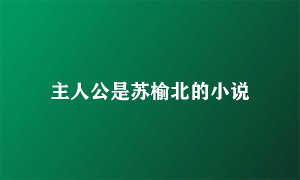 主人公是苏榆北的小说