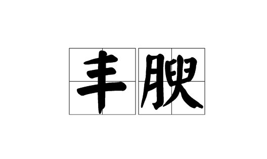 丰腴是什么意思