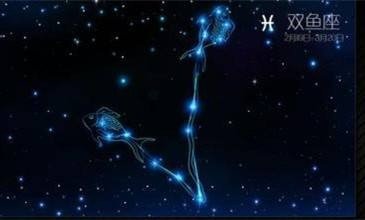 2月19日什么星座