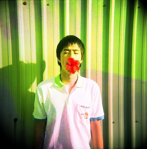 少年不戴花的标题理解