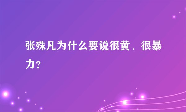 张殊凡为什么要说很黄、很暴力？