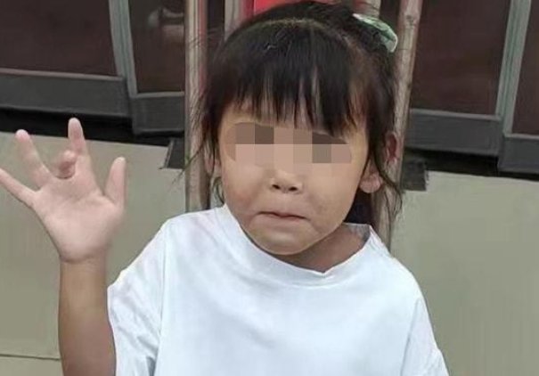 河南女孩遇害被两人带上车，76岁嫌疑人曾接受采访，他的心理素质有多强？