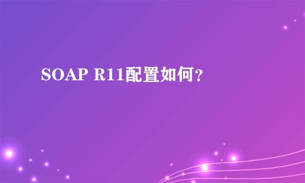 SOAP R11配置如何？