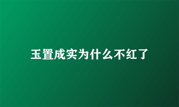 玉置成实为什么不红了