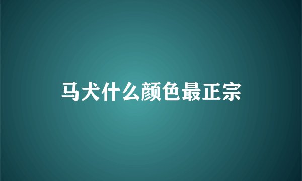 马犬什么颜色最正宗