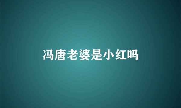 冯唐老婆是小红吗