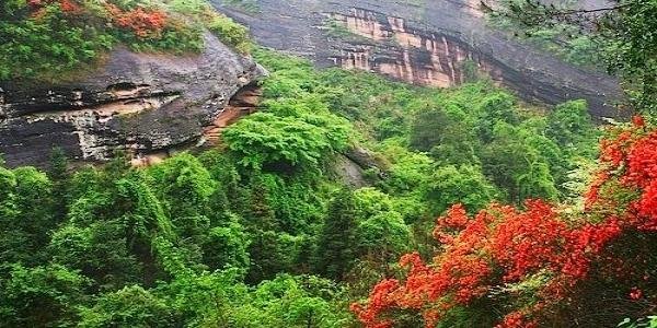 青嶂山温泉的介绍