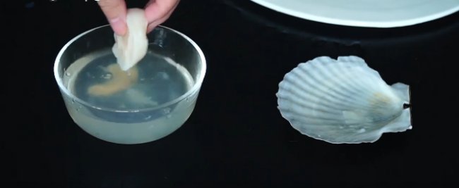 怎样去除扇贝中的泥