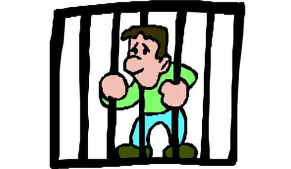 顺奸是什么意思?