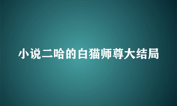 小说二哈的白猫师尊大结局