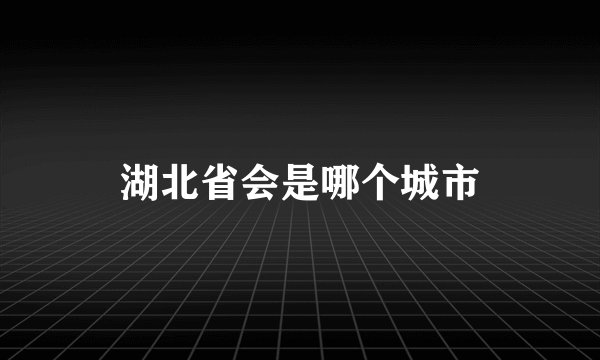 湖北省会是哪个城市