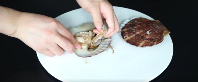 怎样去除扇贝中的泥