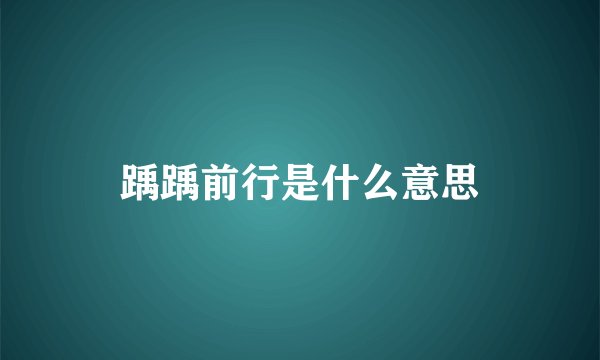 踽踽前行是什么意思