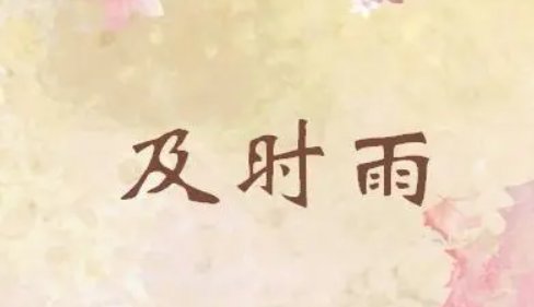 及时雨的含义