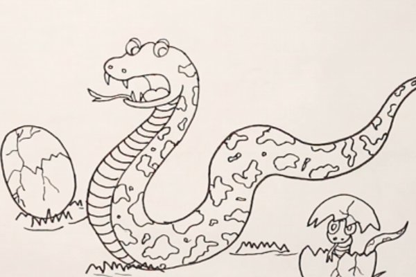 蛇怎么画最简单