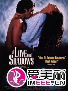 乱世惊情的剧情介绍