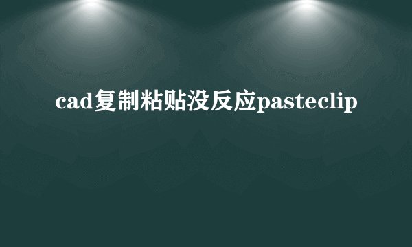 cad复制粘贴没反应pasteclip