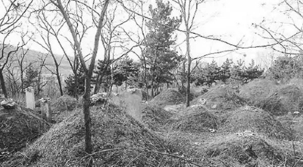 坟茔和坟墓的区别