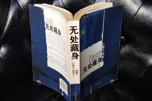 无处藏身什么意思