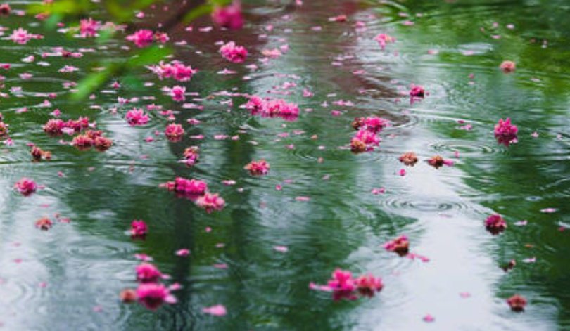 流水落花春去也的寓意是什么