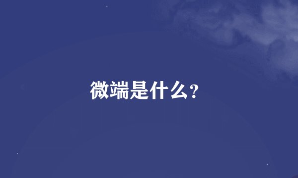 微端是什么？