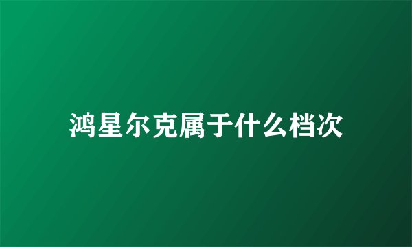 鸿星尔克属于什么档次