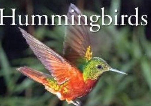 humming什么意思