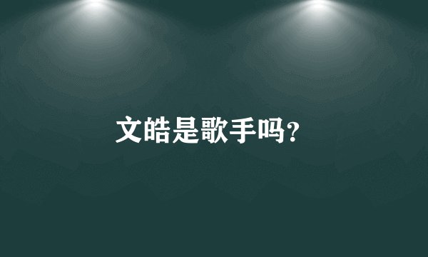 文皓是歌手吗？
