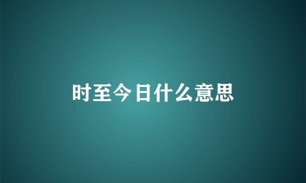 时至今日什么意思
