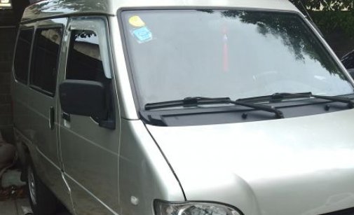 五菱之光6376Ev,E V啥意思