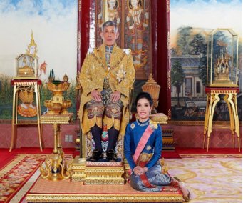 consort是什么意思啊