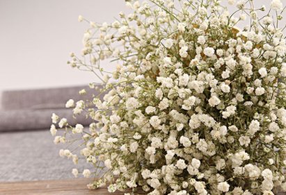 baby’s breath和babysbreath 哪个是满天星的英文意思？