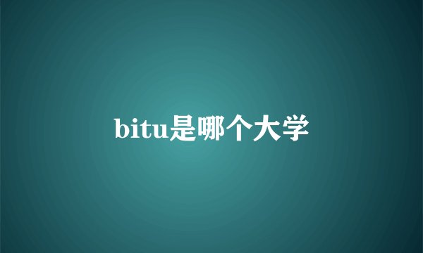 bitu是哪个大学