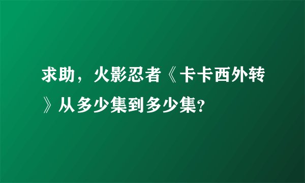 求助，火影忍者《卡卡西外转》从多少集到多少集？