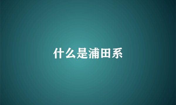 什么是浦田系