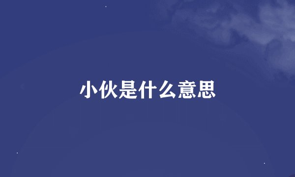 小伙是什么意思