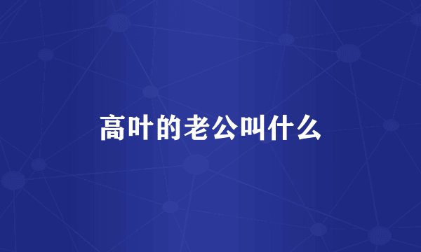 高叶的老公叫什么