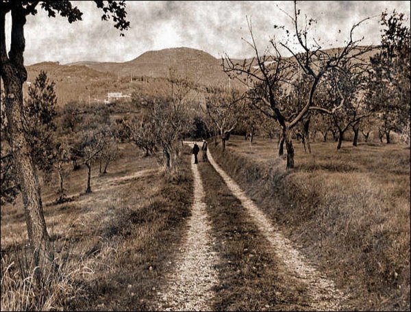 凄凉之地的地域概况